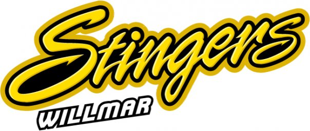 Willmar Stingers 2010-Pres Wordmark Logo iron on transfers for clothing